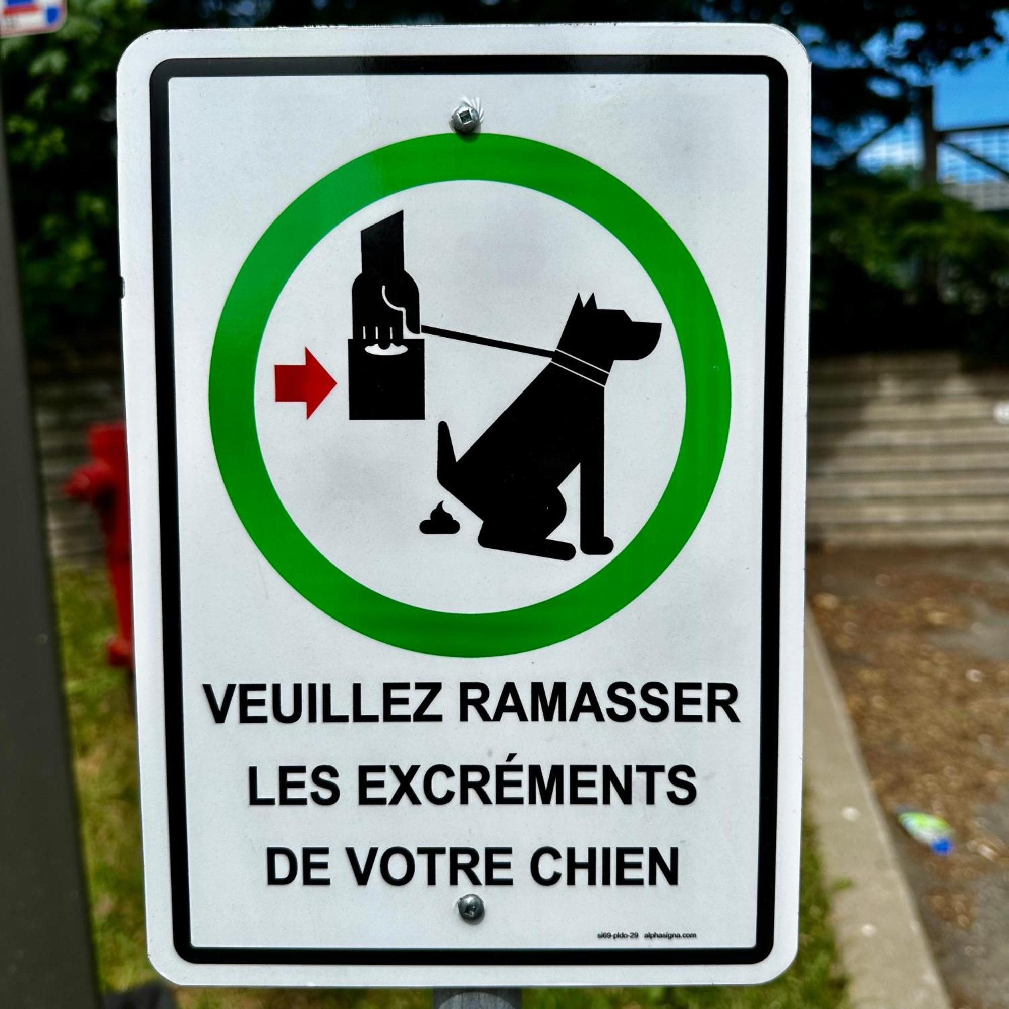 Saint-Jean-de-Boischâtel Initial - Moose - Chutes-Montmorency מראה חיצוני תמונה
